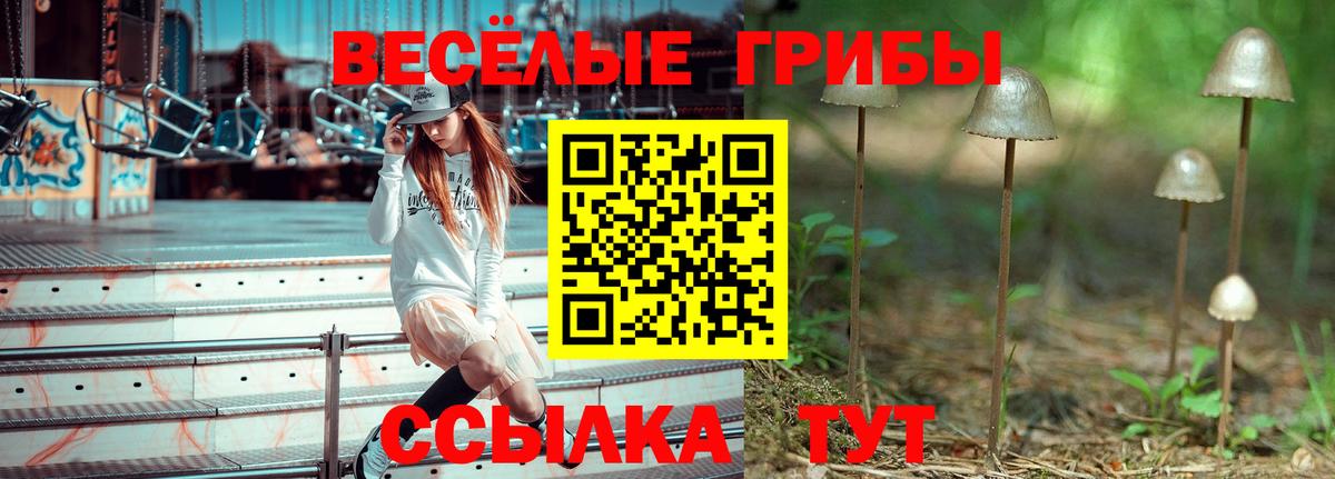 Псилоцибиновые грибы Cubensis Чита