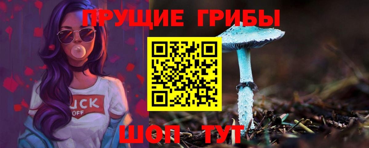 Галлюциногенные грибы MAGIC MUSHROOMS  Вход с VPN  Чита 